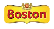 Boston Logo